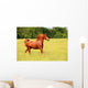 Sorrel Horse Running Summer Wall Decal