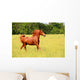 Sorrel Horse Running Summer Wall Decal