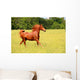 Sorrel Horse Running Summer Wall Decal