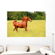 Sorrel Horse Running Summer Wall Decal