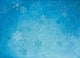 Textured Winter Snowflake Backgroud
