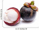 fresh mangosteen Wall Decal