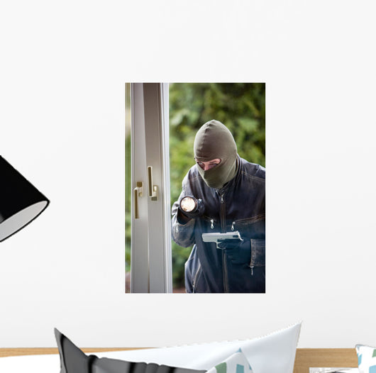 Burglar