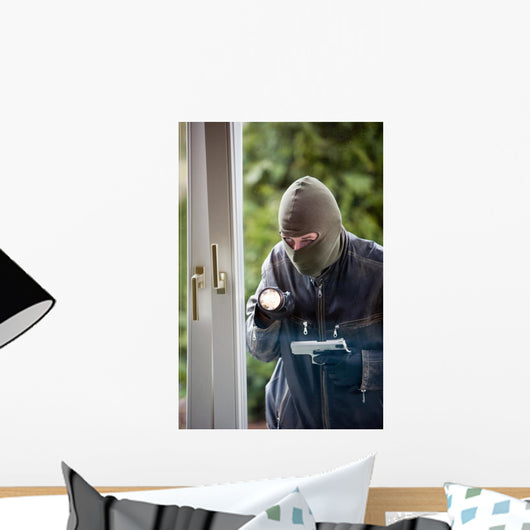 Burglar