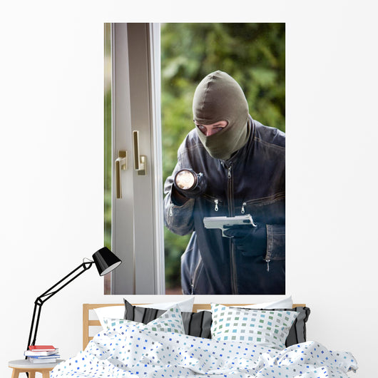 Burglar