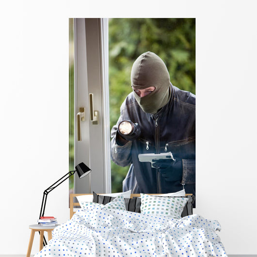 Burglar