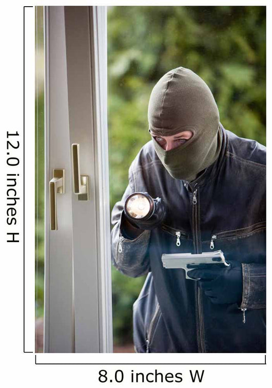 Burglar