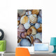 shells Wall Mural