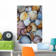 shells Wall Mural