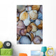 shells Wall Mural