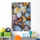 shells Wall Mural
