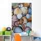 shells Wall Mural
