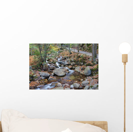 franconia notch state park, new hampshire, usa Wall Mural