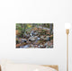 franconia notch state park, new hampshire, usa Wall Mural