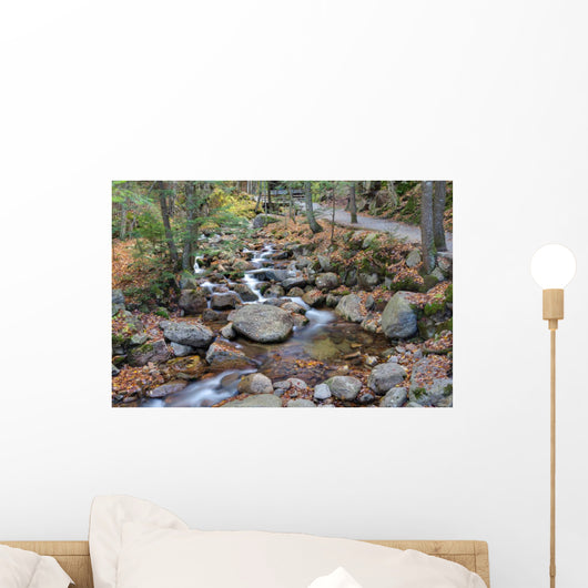 franconia notch state park, new hampshire, usa Wall Mural