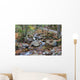 franconia notch state park, new hampshire, usa Wall Mural