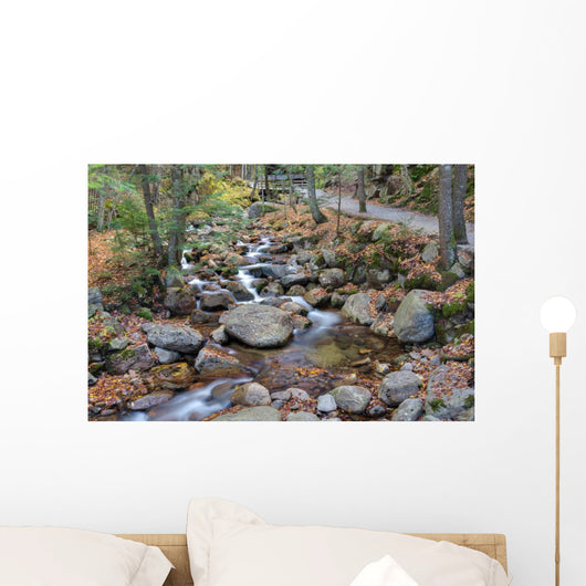 franconia notch state park, new hampshire, usa Wall Mural
