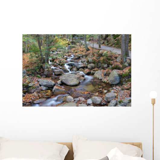 franconia notch state park, new hampshire, usa Wall Mural