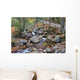 franconia notch state park, new hampshire, usa Wall Mural