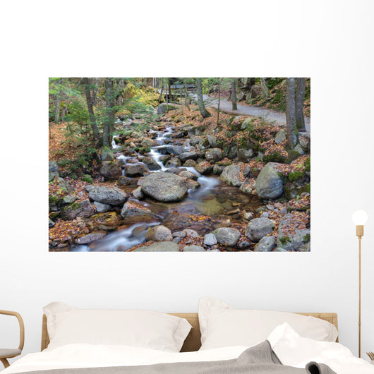 franconia notch state park, new hampshire, usa Wall Mural