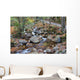 franconia notch state park, new hampshire, usa Wall Mural