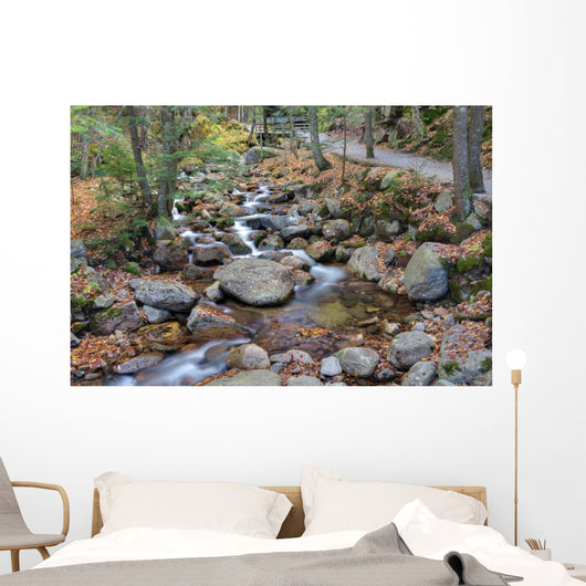franconia notch state park, new hampshire, usa Wall Mural