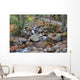 franconia notch state park, new hampshire, usa Wall Mural