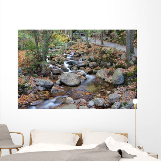 franconia notch state park, new hampshire, usa Wall Mural