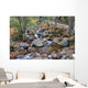 franconia notch state park, new hampshire, usa Wall Mural