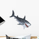 Shark 3D
