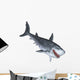 Shark 3D