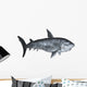 Shark 3D