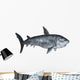 Shark 3D