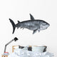 Shark 3D