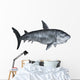 Shark 3D