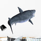 Shark Wall Mural