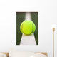 Tennis ball Wall Mural