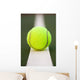Tennis ball Wall Mural