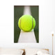 Tennis ball Wall Mural