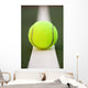 Tennis ball Wall Mural