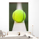 Tennis ball Wall Mural