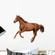 Brown Horse Cantering Free