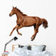 Brown Horse Cantering Free