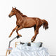 Brown Horse Cantering Free