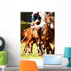 polo Wall Mural