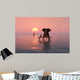 elephant and dog sitting in the middle of the sea Wall Mural