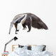 Giant Anteater