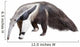 Giant Anteater