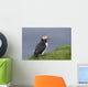 Puffin Fratercula Arctica Wall Decal