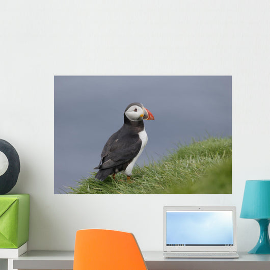 Puffin Fratercula Arctica Wall Decal